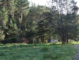 Mangaroa Valley Road screen location, a scenic rural setting with native forest, farmland, and a mountainous backdrop.