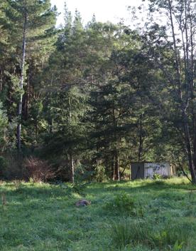 Mangaroa Valley Road screen location, a scenic rural setting with native forest, farmland, and a mountainous backdrop.