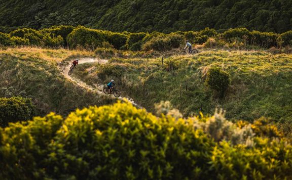 Three mountain bikers ride along the Bathtub Track at Whareroa Farm.