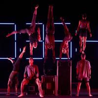 Eight aerialists pose, some do handstands, on a dark stage.