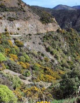 Long Gully Bush Reserve comprises 107 hectares of regenerating forest. It sits roughly 5 kilometres southwest of Wellington City, surrounded by the suburbs of Karori and Brooklyn.