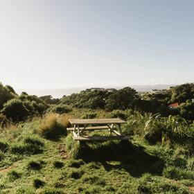 At the top of the Transient trail in Waimapihi Reserve, a picnic table sits amongst the grass looking out over the harbour.