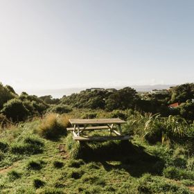A section of the Transient trail in Waimapihi Reserve. The dirt trail goes around burms, onto wooden platforms, and has great views of the city.