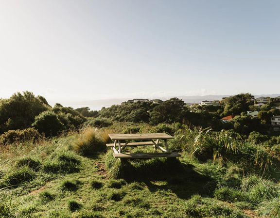 A section of the Transient trail in Waimapihi Reserve. The dirt trail goes around burms, onto wooden platforms, and has great views of the city.