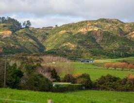 The screen location of Waitohu Valley Ōtaki, features native and exotic forests, pastoral lands, and wetlands.