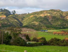 The screen location of Waitohu Valley Ōtaki, features native and exotic forests, pastoral lands, and wetlands.