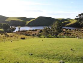 A rural setting with panoramic seascapes, Pikarere Farm is an iconic sheep and beef station overlooking Titahi Bay in Porirua, New Zealand.