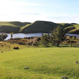 A rural setting with panoramic seascapes, Pikarere Farm is an iconic sheep and beef station overlooking Tītahi Bay in Porirua, New Zealand.
