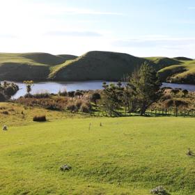 A rural setting with panoramic seascapes, Pikarere Farm is an iconic sheep and beef station overlooking Titahi Bay in Porirua, New Zealand.