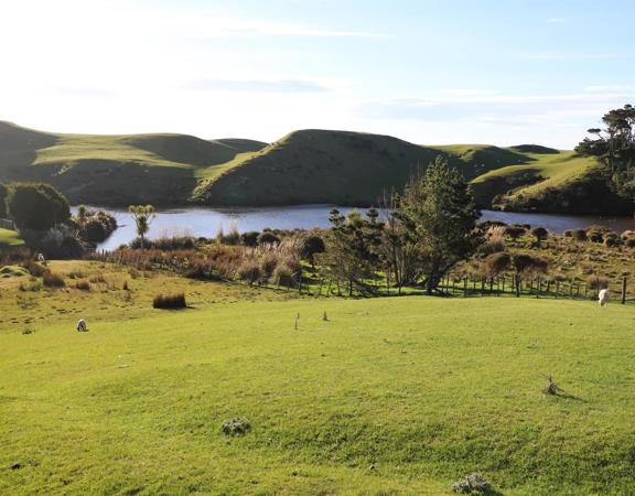 A rural setting with panoramic seascapes, Pikarere Farm is an iconic sheep and beef station overlooking Titahi Bay in Porirua, New Zealand.