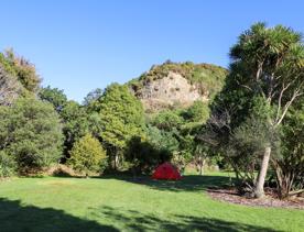 The green native bush of Belmont Regional Park, with streams and hills.