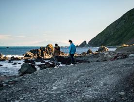 Two people walking along the rocky beach at Red Rocks Coastal Walkway in Wellington, New Zealand.