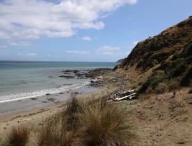 A secluded, sheltered beach located on private farmland. Pikarere Beach is a hidden inlet off Open Bay, just 5 kilometres from Porirua’s city centre.