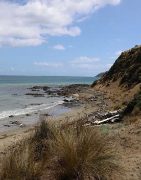 A secluded, sheltered beach located on private farmland. Pikarere Beach is a hidden inlet off Open Bay, just 5 kilometres from Porirua’s city centre.