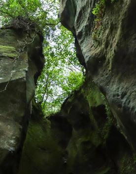 Patuna Chasm, a cave system in a gorge of a river cutting through limestone cliff.