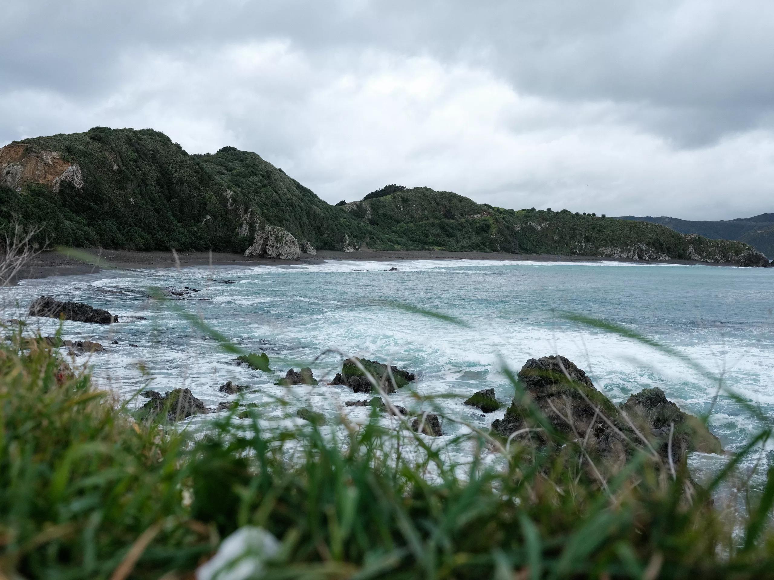 Breaker Bay - Screen Wellington