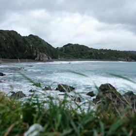 This clothing-optional beach is a good spot for scenic walks and wildlife spotting. At the western entrance of Wellington Harbour, picturesque Breaker Bay beach is part of the Oruaiti Reserve.