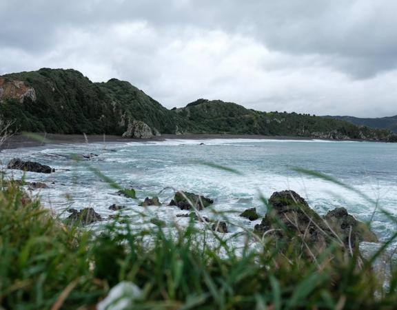 This clothing-optional beach is a good spot for scenic walks and wildlife spotting. At the western entrance of Wellington Harbour, picturesque Breaker Bay beach is part of the Oruaiti Reserve.