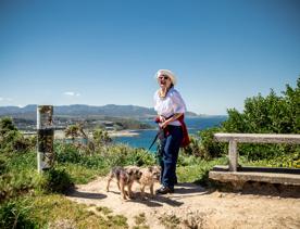 A person wearing a white top and dark blue jeans and a hat with two small dogs on a lead stands at a lookout on the Southern Walkway in the Wellington region with a scenic vista in the background.