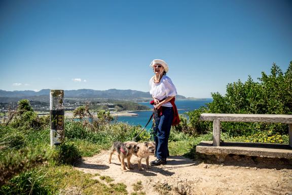 A person wearing a white top and dark blue jeans and a hat with two small dogs on a lead stands at a lookout on the Southern Walkway in the Wellington region with a scenic vista in the background.