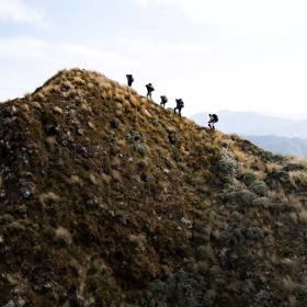 Five hikers walk up a ridgeline in Tararua Forest Park.