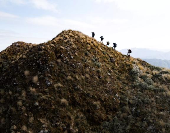 Five hikers walk up a ridgeline in Tararua Forest Park.