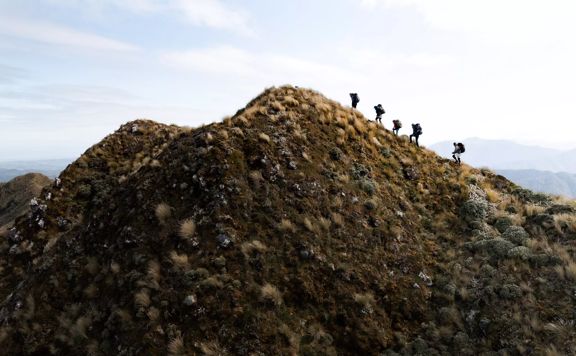 Five hikers walk up a ridgeline in Tararua Forest Park.