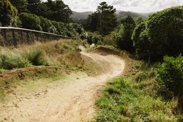 A winding trail in Waimapihi Reserve.