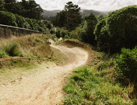 A winding trail in Waimapihi Reserve.