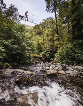 A person and a dog cross a rope bridge over a rushing stream.