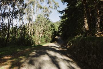 A section of dirt road on the Farm Road in Ngā Ara o Rangituhi, Porirua.