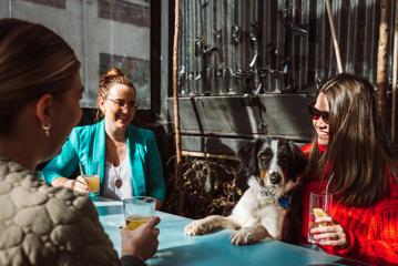 Three friends and a dog sit at a table on the back patio of Golding's Free Dive, a bar in Te Aro, Wellington. 