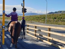 A person riding a horse and a  cyclist waiting to cross the road on the Coast 35 trail.
