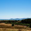 Brown and green farm landscape on the Ti Kouka Loop with the ocean and Kapiti Island in the distance.