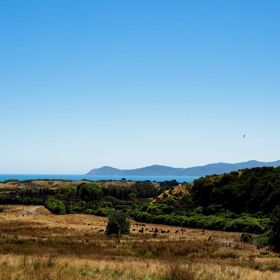 Brown and green farm landscape on the Ti Kouka Loop with the ocean and Kapiti Island in the distance.