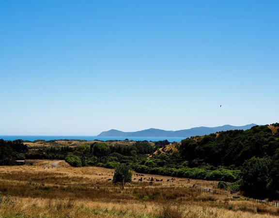 Brown and green farm landscape on the Ti Kouka Loop with the ocean and Kapiti Island in the distance.
