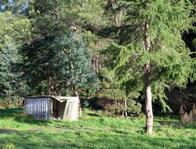 Mangaroa Valley Road screen location, a scenic rural setting with native forest, farmland, and a mountainous backdrop.