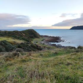 An expansive, coastal area of park and wilderness just north of the capital. With 180 hectares of open space and pockets of native bush, Whitireia Park is where people in Porirua come to roam on foot, bike, or hoof.