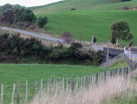 The Kiriwhakapapa Road Tararua Forest Park screen location, featuring walking trails and campsite opportunities in wild, natural landscapes.