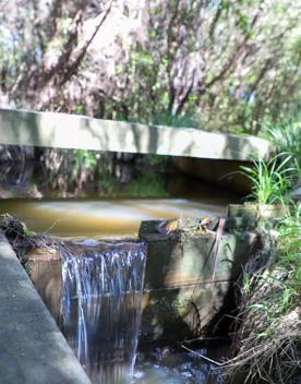 A site of significant conservation value, the estuary is easily accessible in Porirua. A 30-minute drive from the capital, the Pāuatahanui Inlet is a large estuary surrounded by a wildlife reserve.