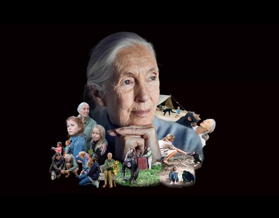 A collage of images of Jane Goodall centered on a black background. 