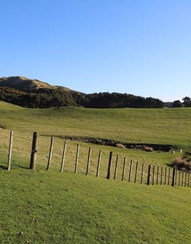 A rural setting with panoramic seascapes, Pikarere Farm is an iconic sheep and beef station overlooking Tītahi Bay in Porirua, New Zealand.