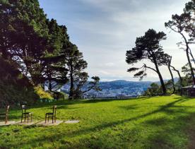 The former Mount Victoria Quarry site sits at the base of Wellington’s Town Belt and has views of the city.  The Anne Frank memorial of three chairs is placed on the grass.