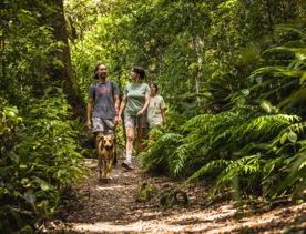 3 people and a dog walking along a trail on the Atiwhakatu track in Tararua Forest Park.