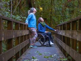 Two people, one using a wheelchair, look up at the tree canopy from a bridge along Tane's Track.