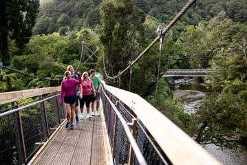 People walking along one of the two swing bridges over the river amongst trees in Kaitoke Regional Park.