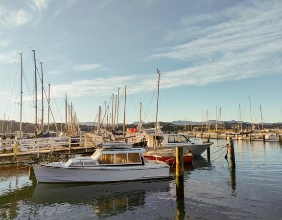 Evans Bay Marina, at the south end of Evans Bay in Wellington Harbour, the marina provides spectacular views of the bay.