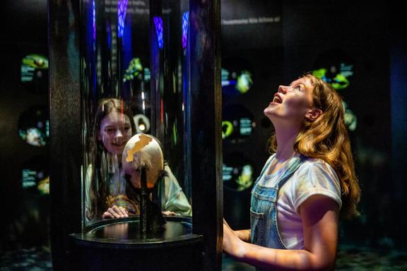 2 children interacting with an exhibition at Te Papa.