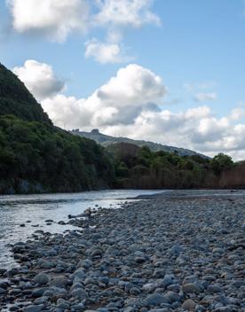 The Taitā Rock swimming hole in Lower Hutt, with lush green bush surrounding a blue river and large pebbles on the shore.