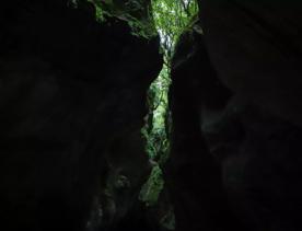 Patuna Chasm, a cave system in a gorge of a river cutting through limestone cliff.